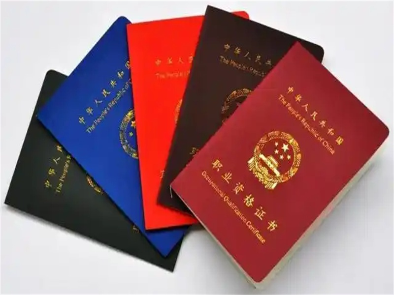 聘书任命书定制 聘书任命书定制-红金大气喜庆风